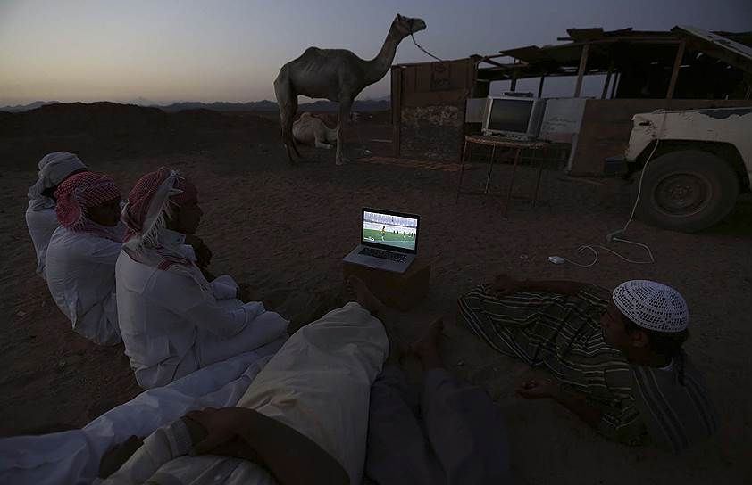 Трансляция матча чемпионата мира по футболу между Нидерландами и Австралией в Табуке, Саудовская Аравия
