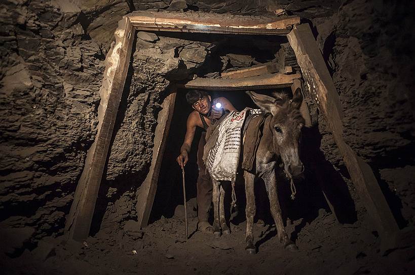 Пакистанкий шахтер со своим ослом в угольной шахте в провинции Пенджаб