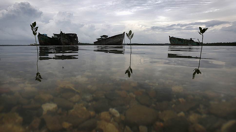 Останки конфискованных зарубежных рыболовных траулеров, ржавеющие у побережья индонезийского острова Бунгуран-Бесар