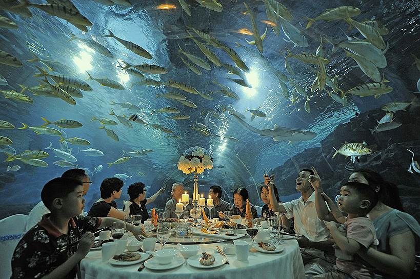 Туристы во время обеда в океанариуме китайского Тяньцзиня