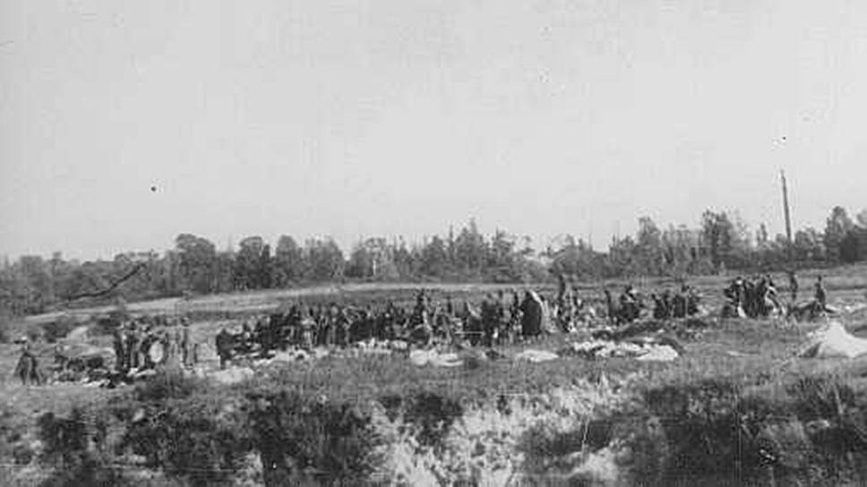 Только 29 и 30 сентября 1941 года в Бабьем Яре были расстреляны 33771 человек (малолетних детей не считали)
