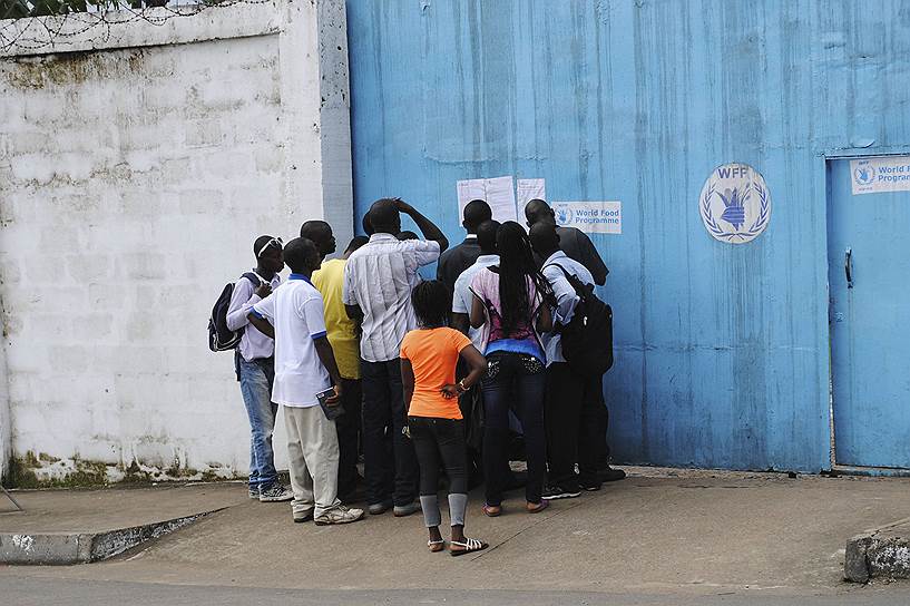 Безработные рассматривают объявления о вакансиях у штаба Всемирной продовольственной программы ООН в Монровии, столице Либерии