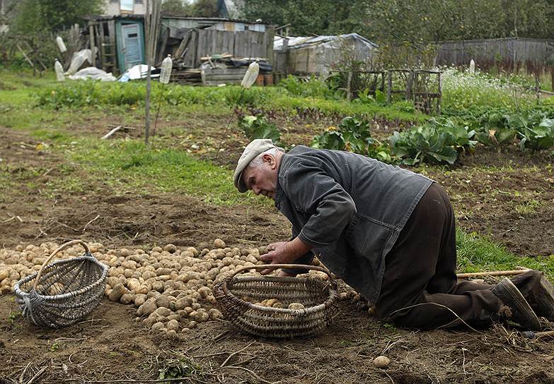 Поиски новой модели фермерства — глобальный тренд&lt;br>На фото минский фермер