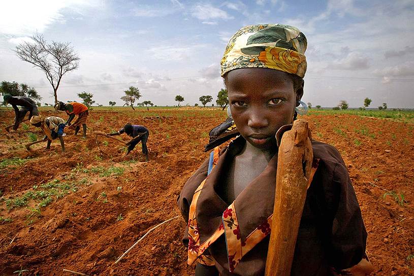 Век спустя российские аграрные кластеры все еще страшно далеки от такого уровня: они объединяют по 50-60 участников и на несколько других условиях&lt;br>На фото девочка работает в поле на юге Нигера
