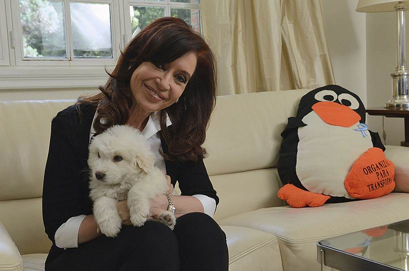 2013 год. Президент Аргентины Кристина Киршнер со своей собакой