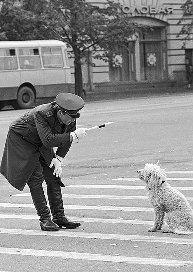 1985 год. Инспектор ГАИ объясняет собаке правила перехода дороги