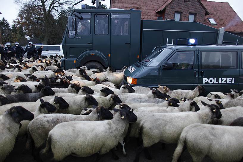 Протесты в Германии