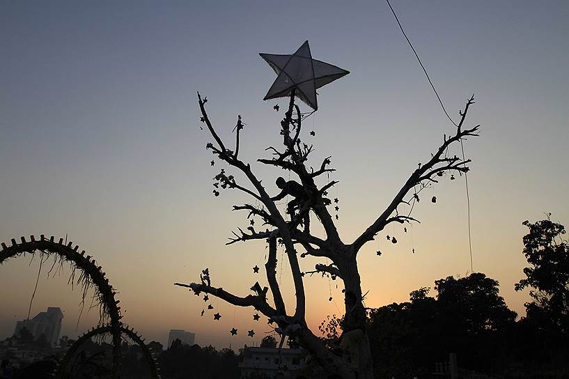 Исламабад, Пакистан. Люди украшают дерево, как елку, в преддверии Рождества в христианских трущобах города