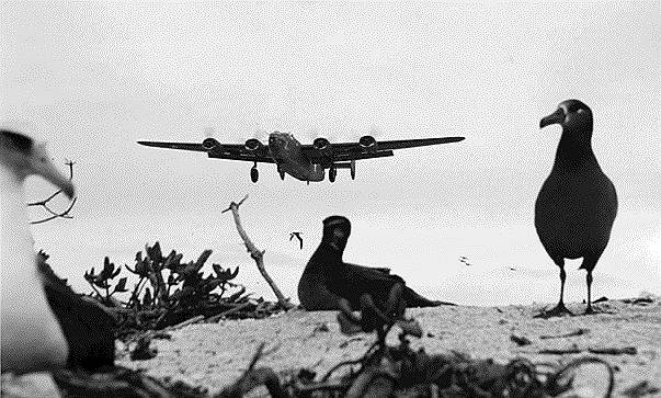 1939 год. Первый полет Consolidated B-24 Liberator — американского тяжелого бомбардировщика времен Второй мировой войны, самого массового бомбардировщика в истории авиации