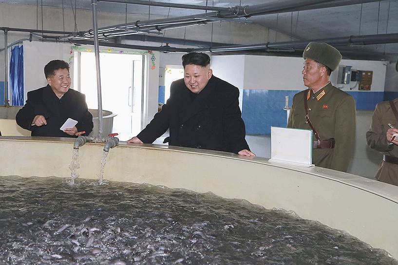 2014 год. Ким Чон Ын  во время инспекции на фабрике по разведению  рыб