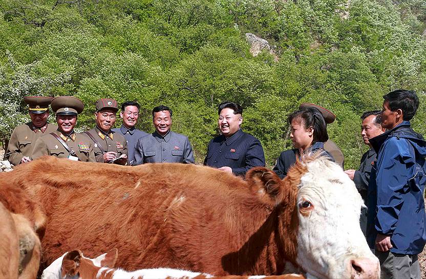 2015 год. Ким Чон Ын во время визита на ферму, подконтрольную Корейской народной армии