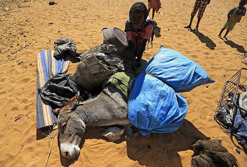 Эль-Фашер, Судан. Девочка снимает пожитки с упавшего от усталости осла после прибытия в лагерь вынужденных переселенцев Замзам