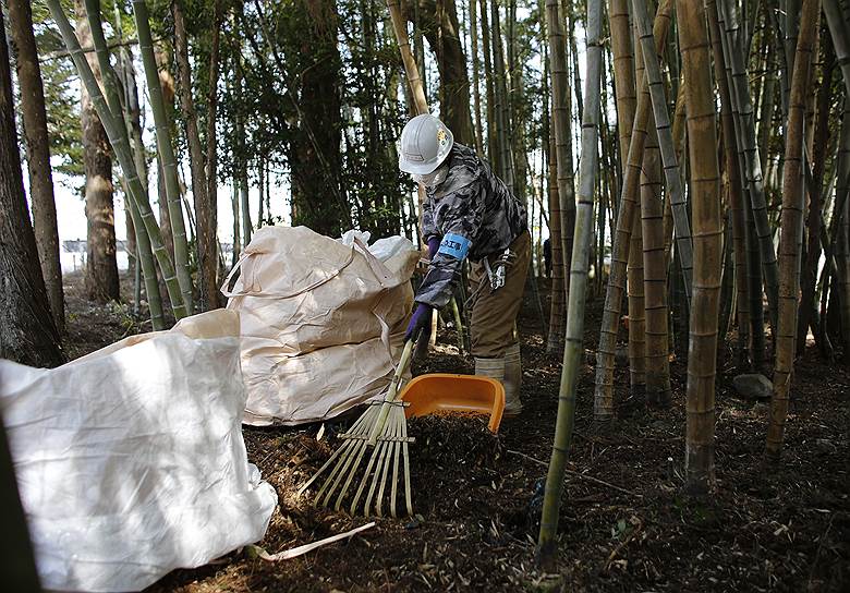 Япония выделила более $15 млрд на меры по снижению уровня радиации. Ежедневно рабочие убирают траву и листья, подрезают деревья, моют дороги и дома  в зоне поражения