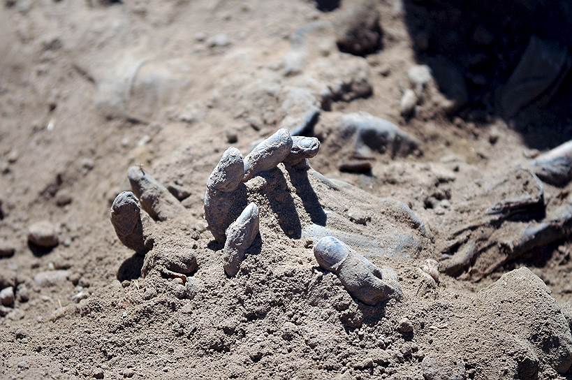 Тикрит, Ирак. Раскопки одного из 12 массовых захоронений иракских солдат, убитых «Исламским государством», находящегося на территории бывшей резиденции Саддама Хусейна