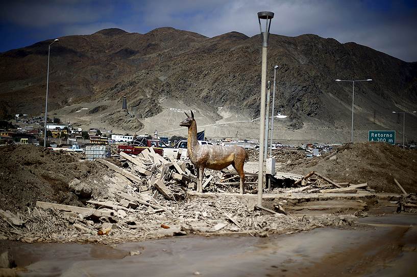 Чаньяраль, Чили. Скульптура ламы среди обломков в районе, который сильно пострадал от наводнений