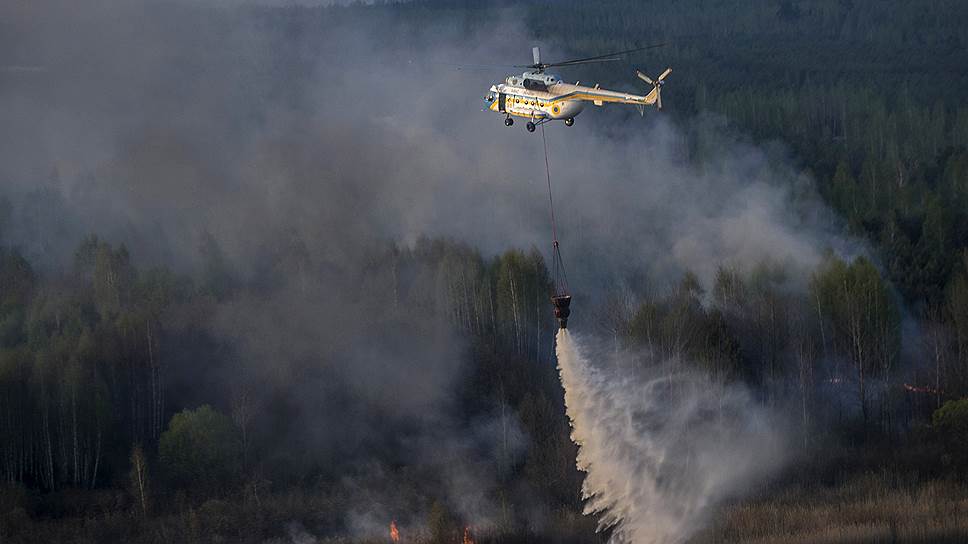 Как в районе Чернобыля горело 400 га леса