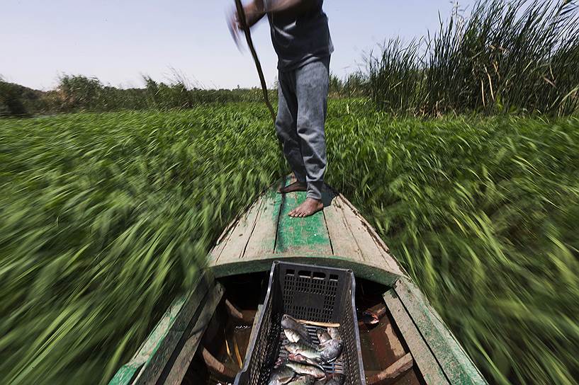 Нил, Египет. Рыбак плывет на своей лодке по реке Нил, чтобы проверить ловушки для рыбы