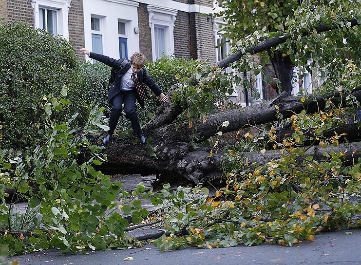Мальчик перелезает через дерево, поваленное грозой, чтобы добраться до одной из школ Лондона