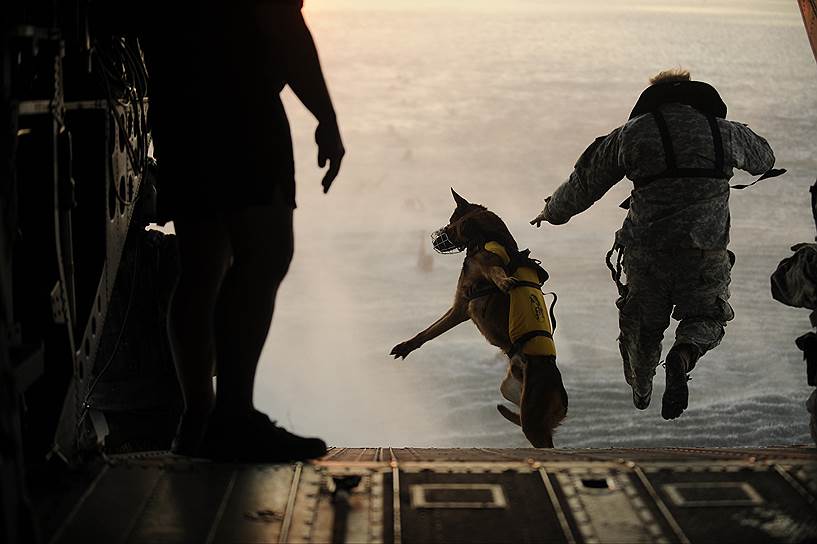 Мексиканский залив. Военнослужащий 10-й группы специального назначения и его собака совершают прыжок с парашютом во время учений