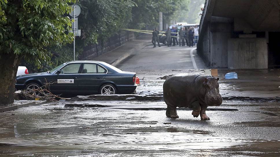 Тбилиси затопило в результате аномального ливня