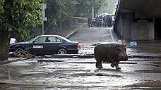 Тбилиси затопило в результате аномального ливня