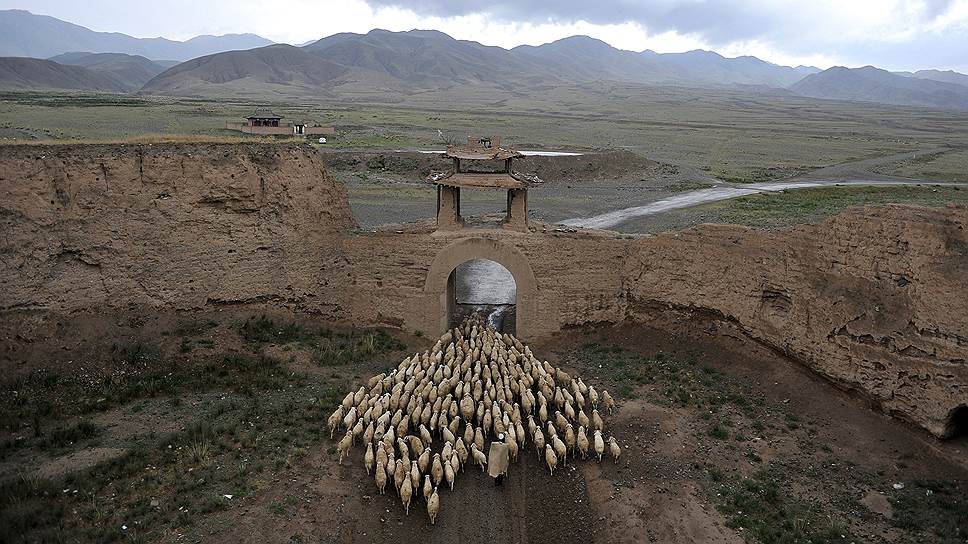 Уезд Цзинтай, провинция Ганьсу, Китай. Стадо овец проходит через ворота древнего города Юнтай