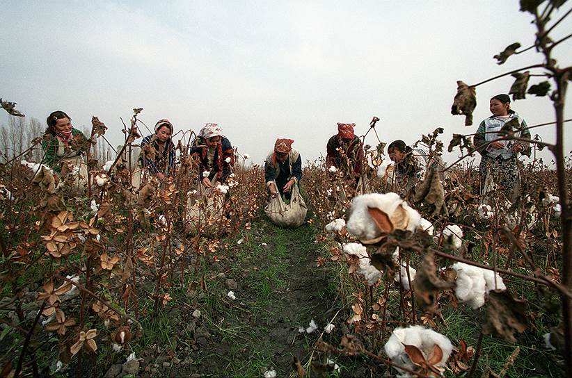 В Узбекистане в рабстве сейчас находятся 1,23 млн человек. В основном принудительный труд здесь используется при сборе хлопка, который является одной из ключевых статей экспорта страны. Несколько лет назад к работе в полях массово привлекали детей. После многочисленных протестов и бойкотов международных правозащитных организаций, власти прекратили эту практику. Тем не менее она продолжает сохраняться в отдельных районах Узбекистана 