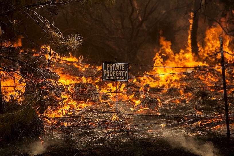 Штат Калифорния, США. Лесной пожар в округе Лейк-Каунти