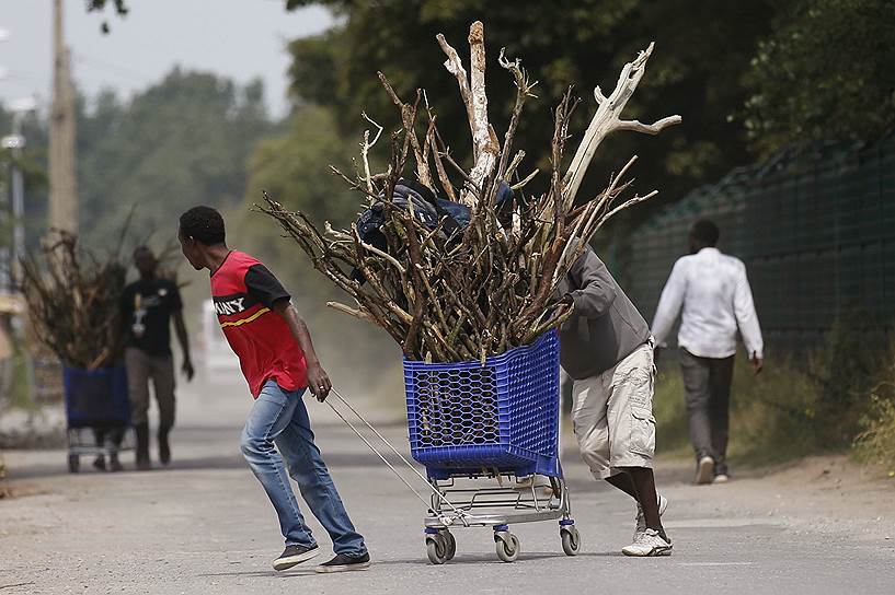 На фото: мигранты везут дрова в торговой тележке