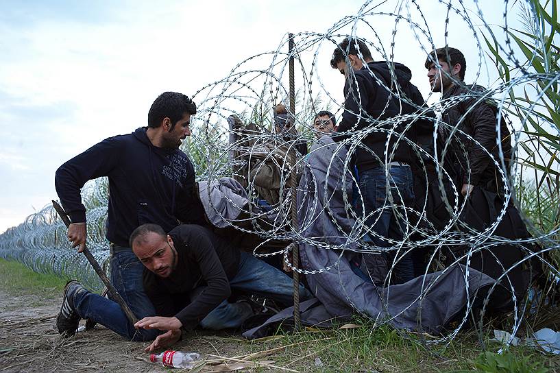 Рьоске, Венгрия. Сирийские беженцы пересекают венгерско-сербскую границу
