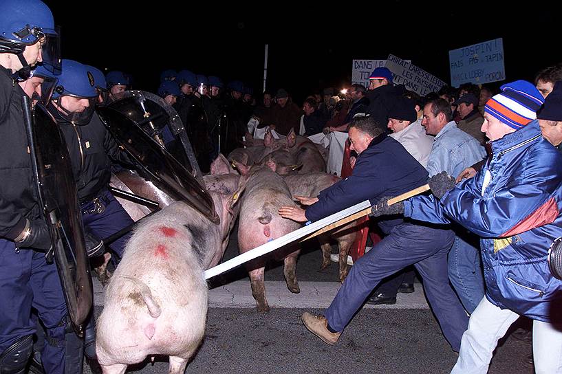 3 декабря 1998 года. Столкновения французских свиноводов с полицией из-за резкого снижению цен на свинину в странах ЕС