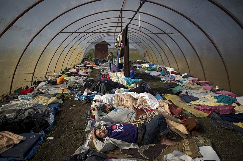 Реске, Венгрия. Теплица, в которой размещаются беженцы в распределительном центре у венгерской границы 