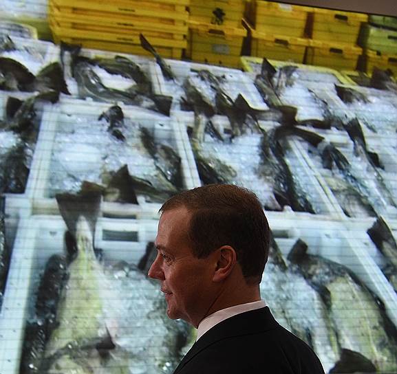 Председатель правительства Дмитрий Медведев