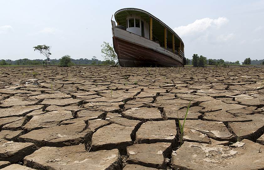 Манаус, Бразилия. Последствия засухи в регионе