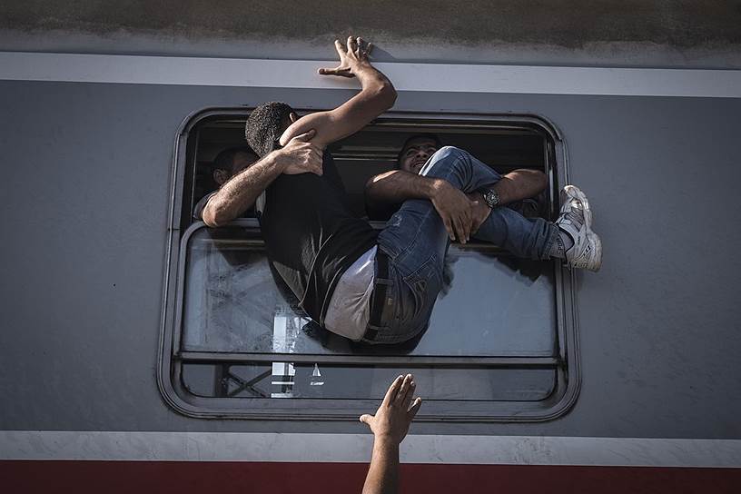 Станция Товарник, Хорватия. Беженец пытается влезть в поезд, который следует в сторону Загреба