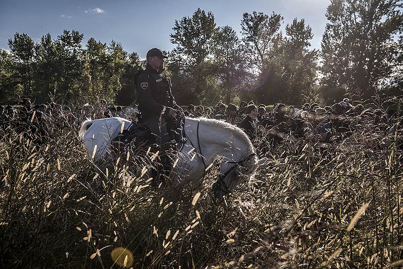Словенский конный полицейский сопровождает мигрантов после того, как они перешли границу с Хорватией