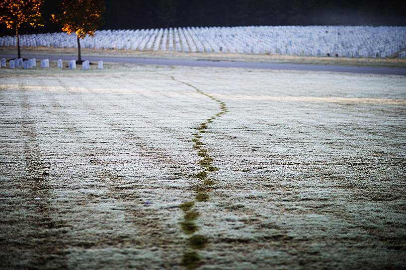 Кантон, штат Джорджия, США. Следы женщины, пришедшей навестить могилу сына в День ветеранов, на свежем снегу на Национальном кладбище Джорджии