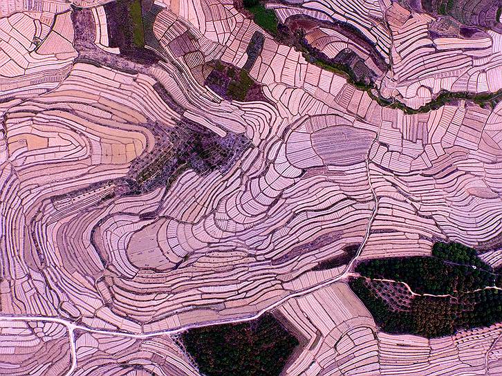 Гуанси-Чжуанский автономный район, Китай. Арбузные террасы, занимающие около тысячи гектаров земли и выдающие больше 28 тыс. тонн арбузов ежегодно