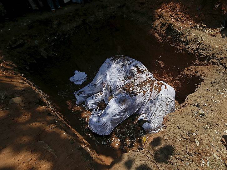 Коломбо, Шри-Ланка. Похороны 23-летнего слона, умершего после шести месяцев лечения от ран на ноге, на территории буддистского храма