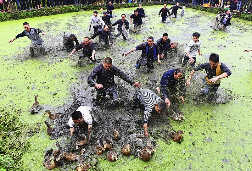 Уезд Цзяньхэ, Китай. Конкурс по ловле уток во время традиционного фестиваля народности Мяо