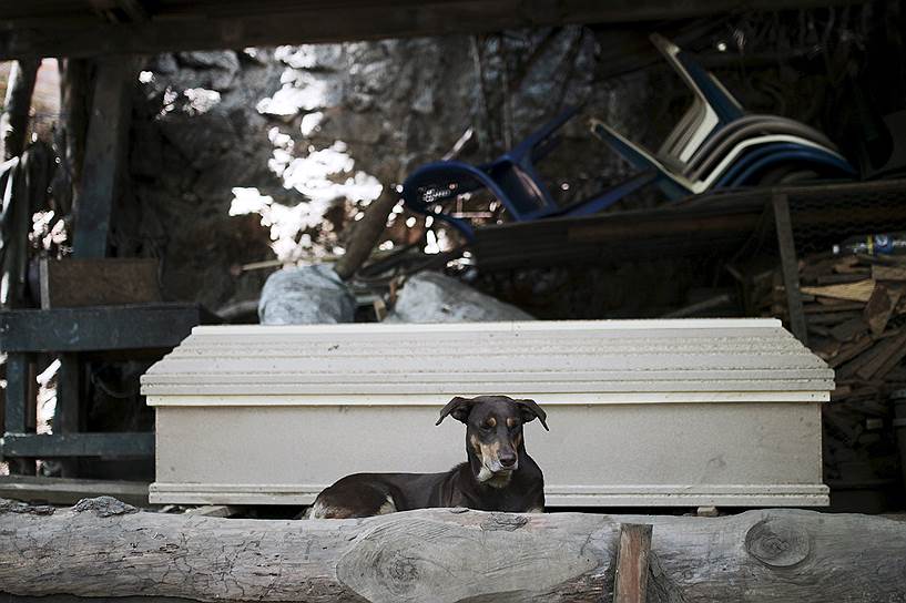 «Даже если в Сальвадоре снизится уровень преступности, в Хукуапе всегда можно найти работу, потому что гробы мы поставляем в Гондурас и Гватемалу», - утверждает 24-х летний плотник Хосе Флорес. Последние 5 лет он работает в похоронном бизнесе, получая по $15 за каждый изготовленный гроб