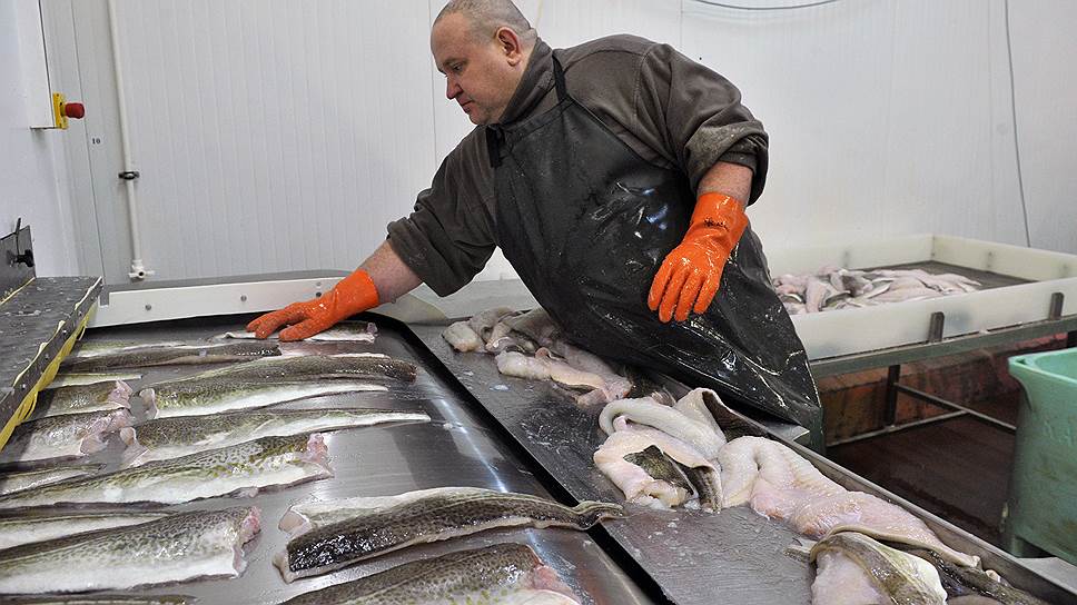 Рыбообработчикам возвращают зарплату