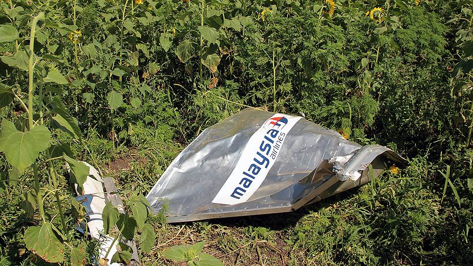 Почему родственники жертв катастрофы MH17 подали иск к России