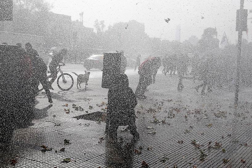 Сантьяго, Чили. Полиция разгоняет из водометов студентов, протестующих против реформы государственного образования