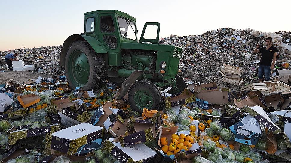 Почему российские власти решили продлить продовольственное эмбарго