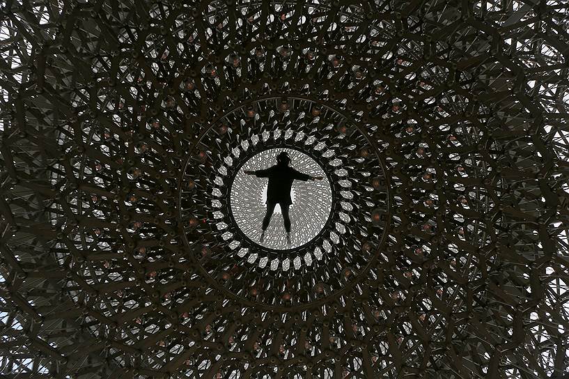 Лондон, Великобритания. Скульптура «Улей» Вольфганга Баттресса в Королевском ботаническом саде Kew