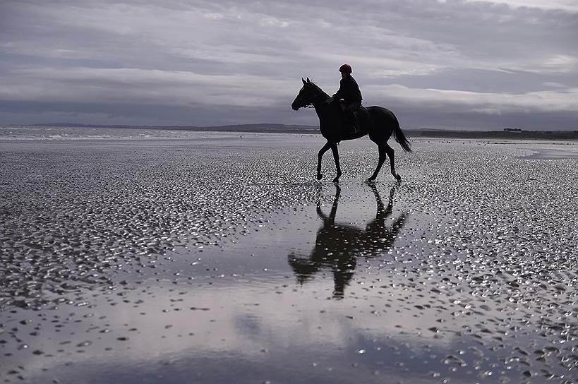 Лейтаун, Ирландия. Всадник на лошади перед ежегодными скачками