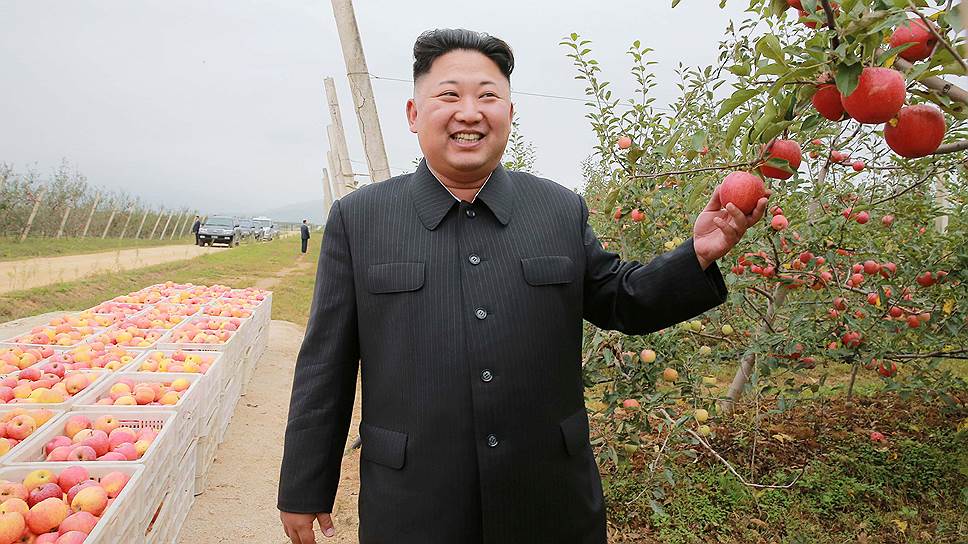 В каком случае Южная Корея будет готова осуществить план по устранению Ким Чон Ына