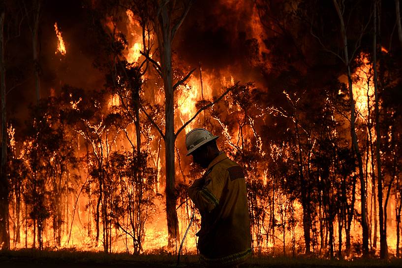 Порт Стивенс, Австралия. Пожарный во время тушения лесного пожара. По официальным данным, огонь распространился на площади более 6,5 тыс. га