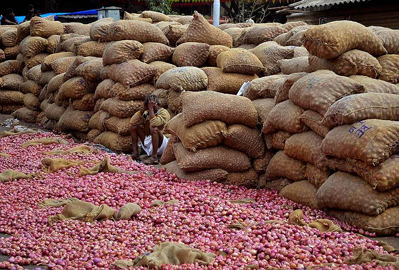 Бангалор, Индия. Продавец лука на городском рынке